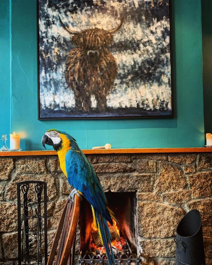 The Tors Hotel โอ๊คแฮมป์ตัน ภายนอก รูปภาพ